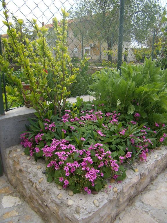 Apartment Slavica Lozovac Exterior foto